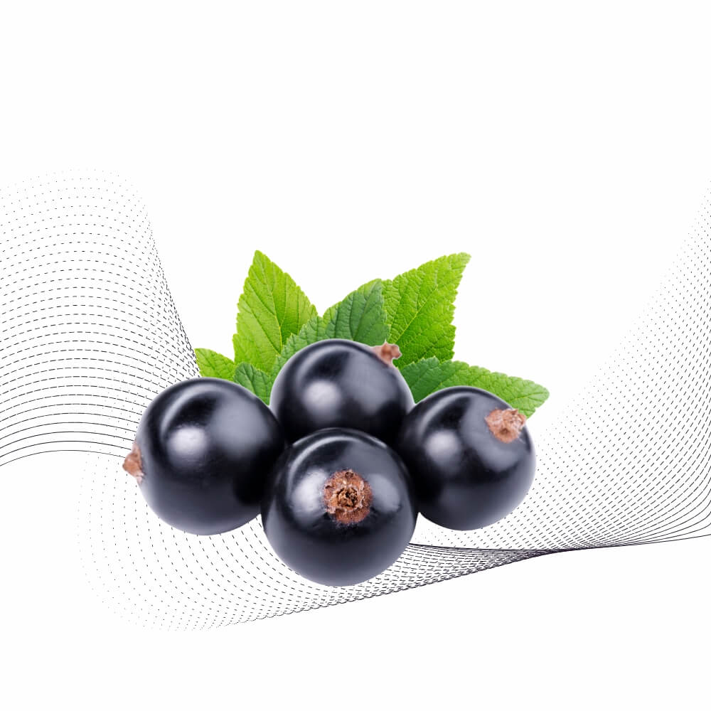 Quả mâm xôi đen(Blackcurrant)