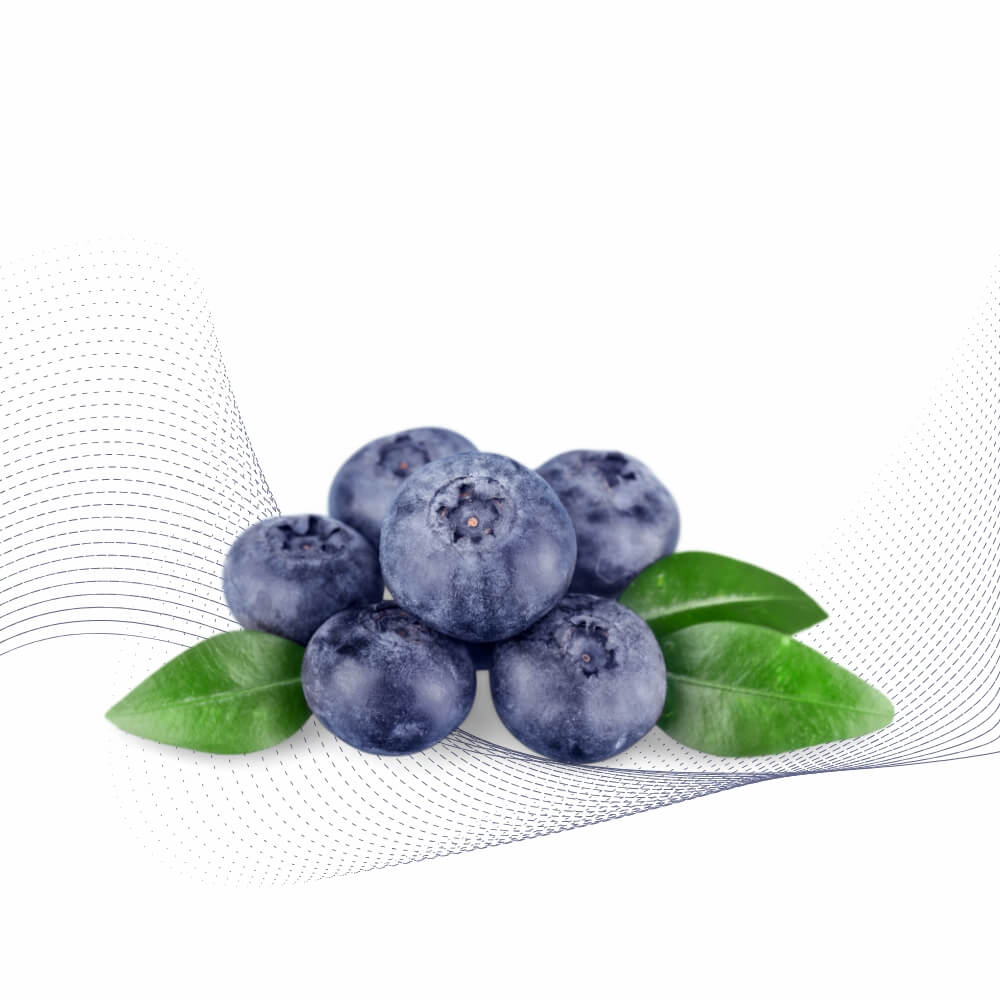 Dâu tây(Blueberry)