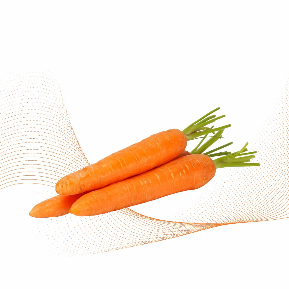 Cà rốt(Carrot)