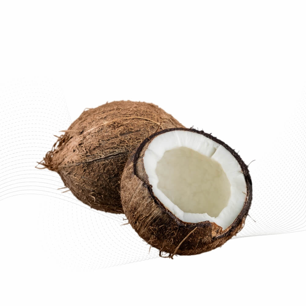 Dừa(Coconut)