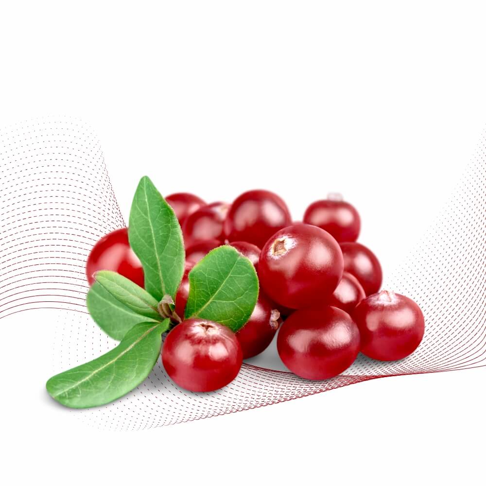 Quả nam việt quất(Cranberry)