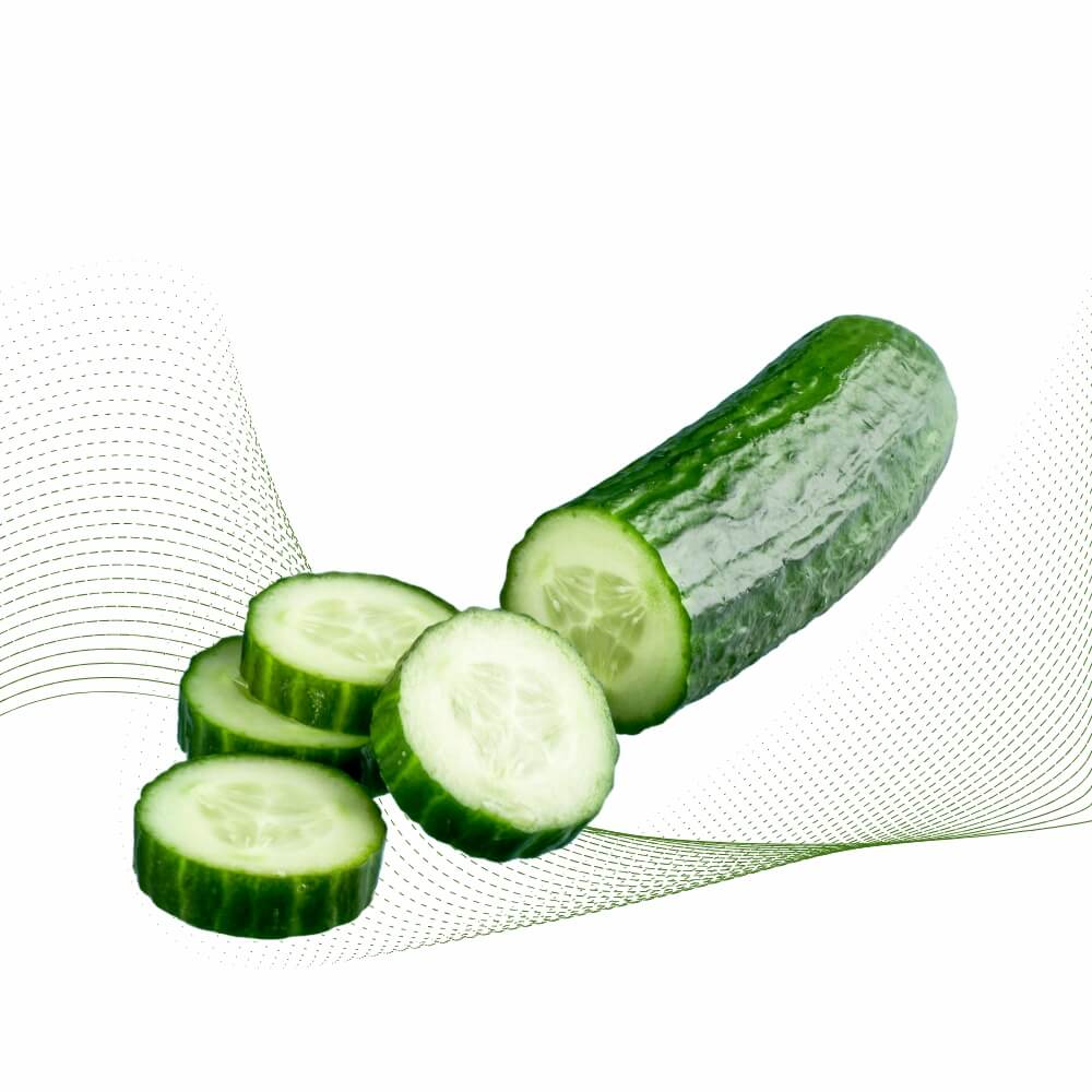 Dưa chuột(Cucumber)