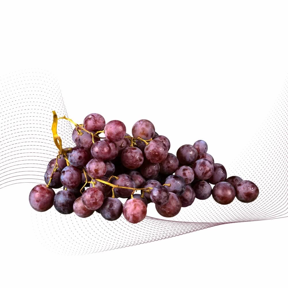 Nho(Grape)