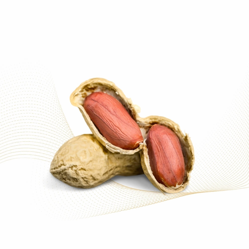 Đậu phộng(Peanut)